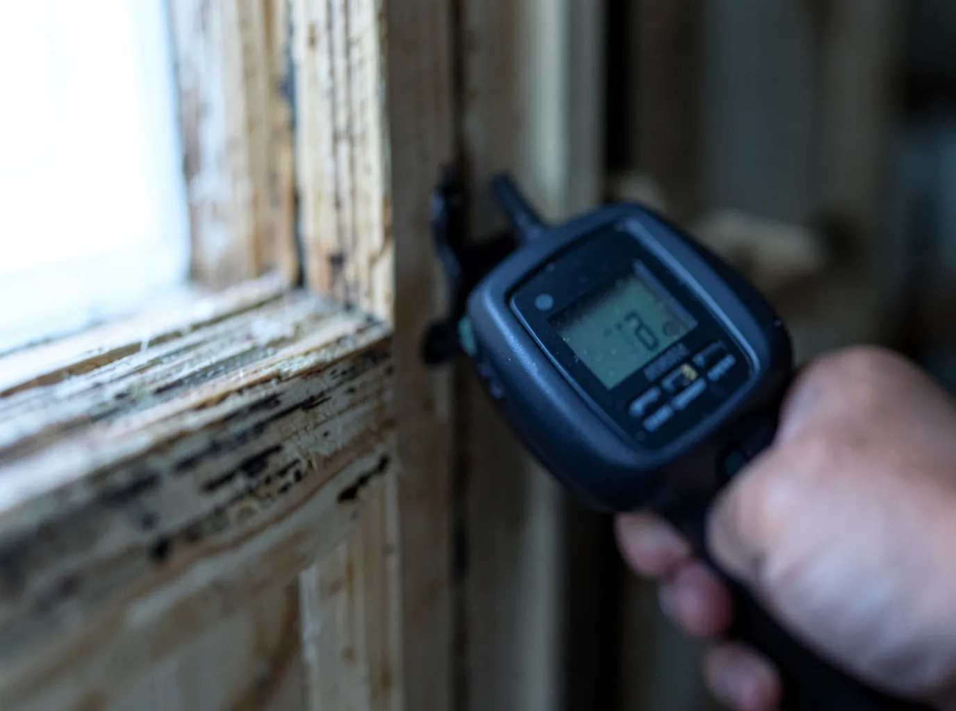 Moisture Inspection And Documentation in Delmar, NY